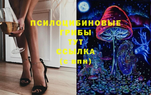 дживик Аркадак