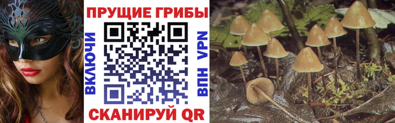 MEGA рабочий сайт  Димитровград  Псилоцибиновые грибы Magic Shrooms 