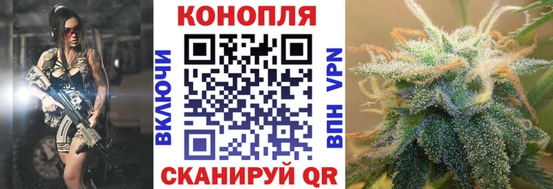 Бошки марихуана сатива  Димитровград 